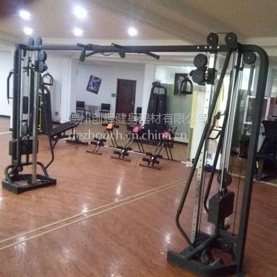 大小飞鸟训练器 室内商用力量健身的全能之王